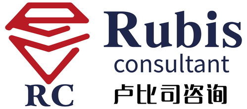 上海盧比司企業(yè)管理咨詢 專業(yè)賦能企業(yè)成長(zhǎng)，解鎖管理新高度